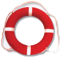 Foam Life Buoy-4.3KG(710MM)